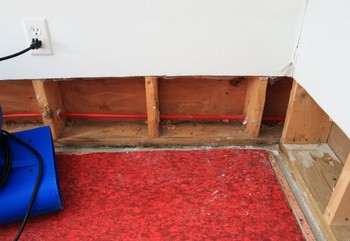 Basement Flood in Willow Springs, Illinois